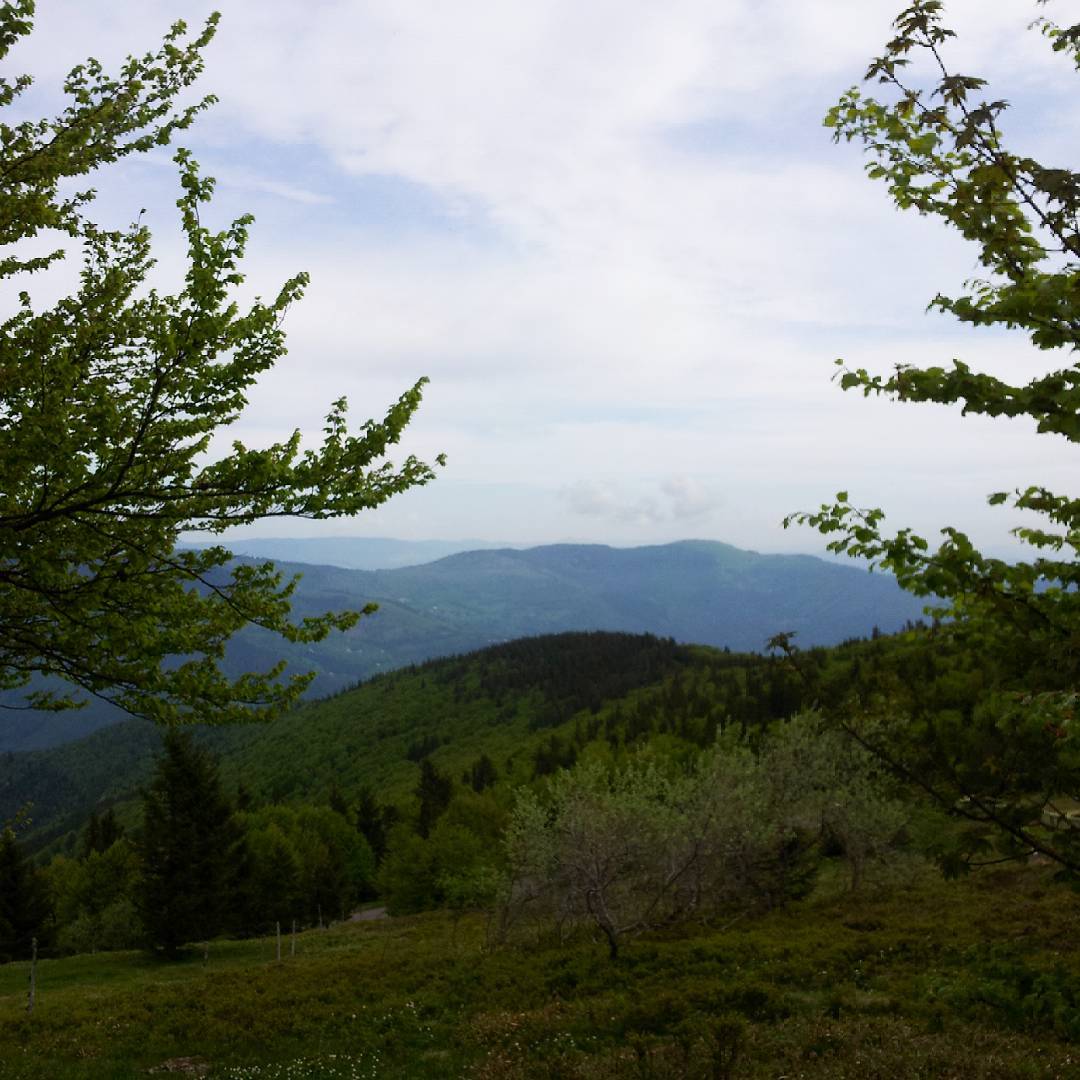 La vue depuis le Grand Ballon.