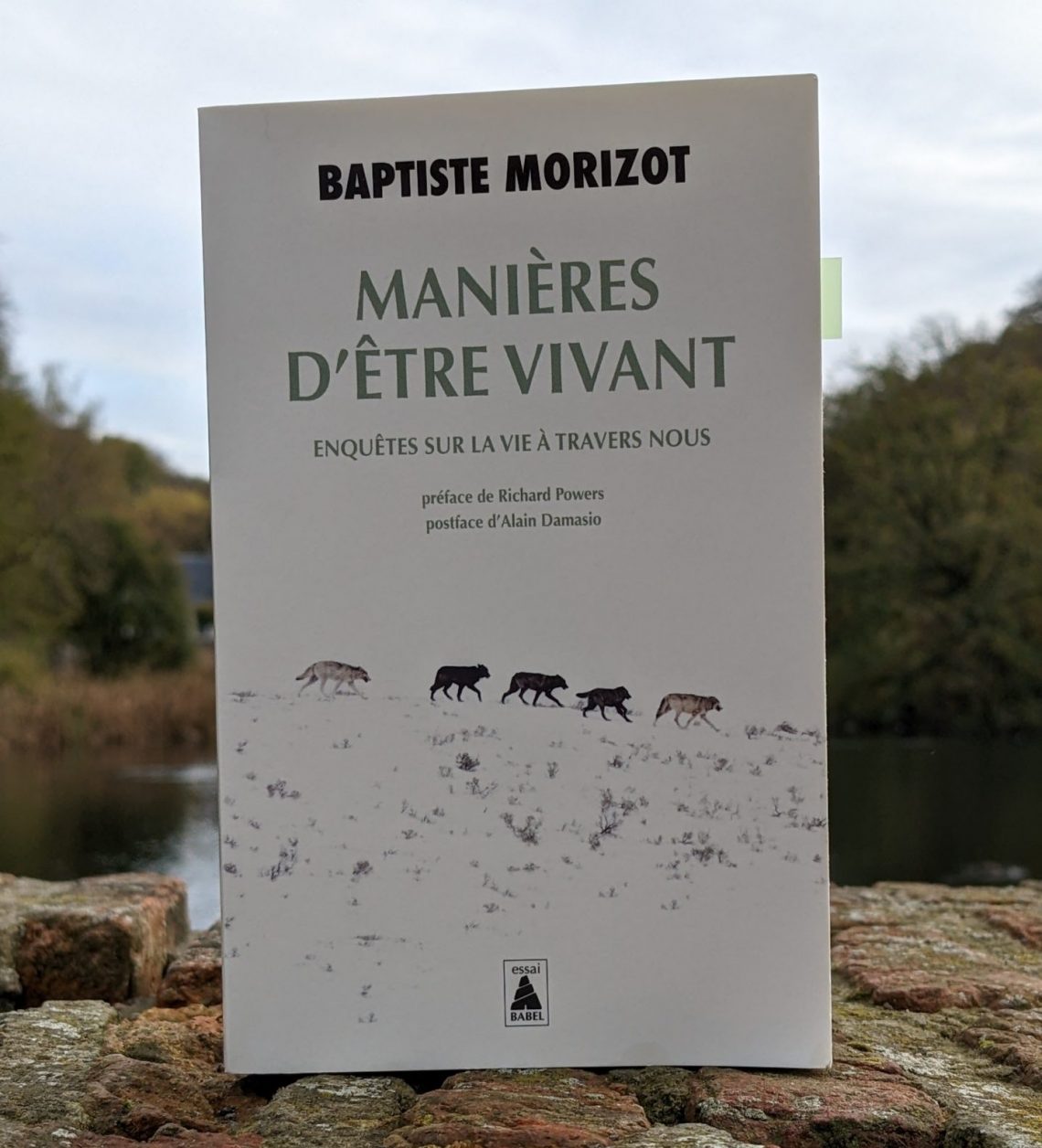 Couverture de l'essai Manières d'être vivant de Baptiste Morizot